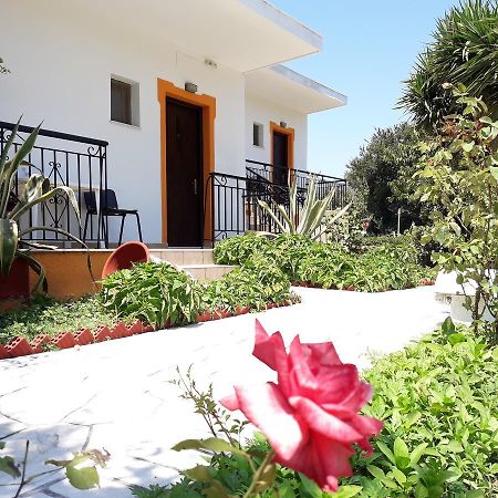 Studios Dimitris Punta Екстер'єр фото