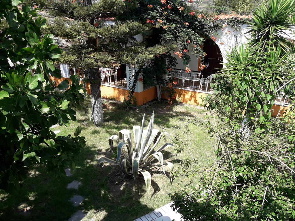Studios Dimitris Punta Екстер'єр фото