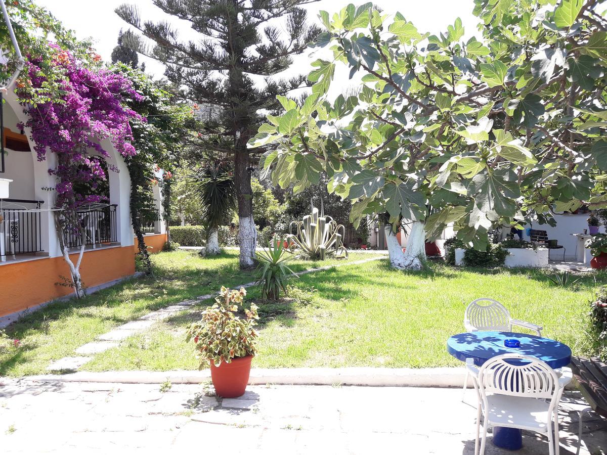 Studios Dimitris Punta Екстер'єр фото