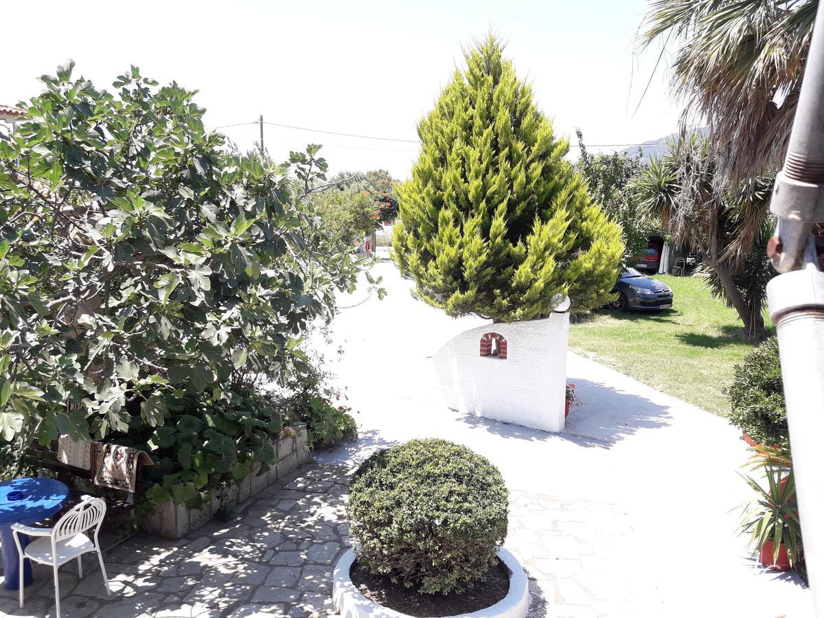 Studios Dimitris Punta Екстер'єр фото