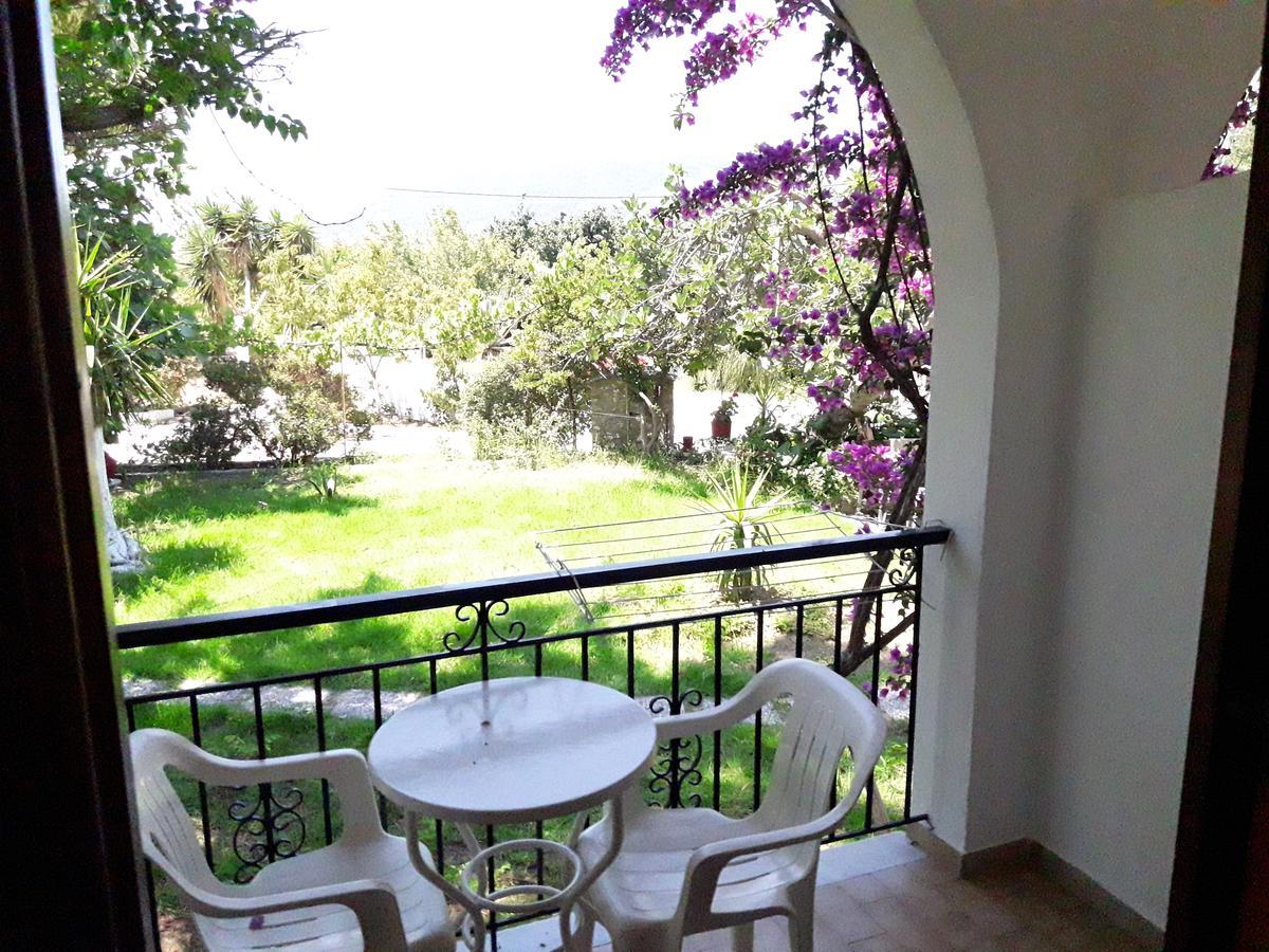 Studios Dimitris Punta Екстер'єр фото